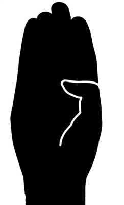 元旦起严管合乐hl8违法