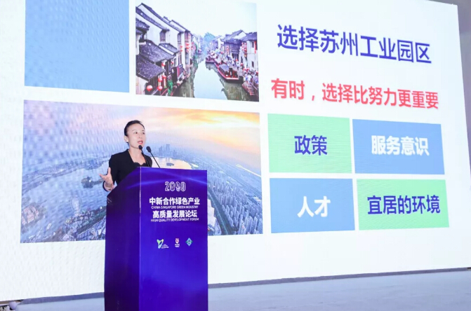 回首2019，致在环保路上奋斗的合乐hl8