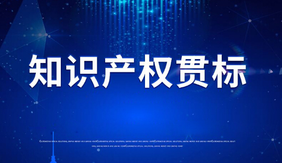 合乐hl8环保顺利通过2020知识产权管理体系认证