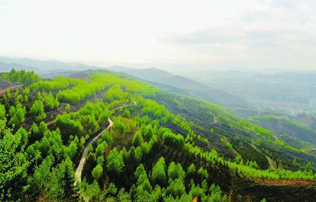 【世界防治荒漠化和干旱日】合乐hl8环保一直在行动