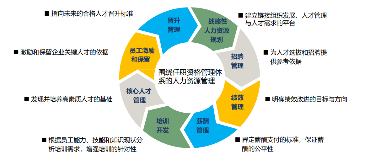 合乐hl8注重人才培养