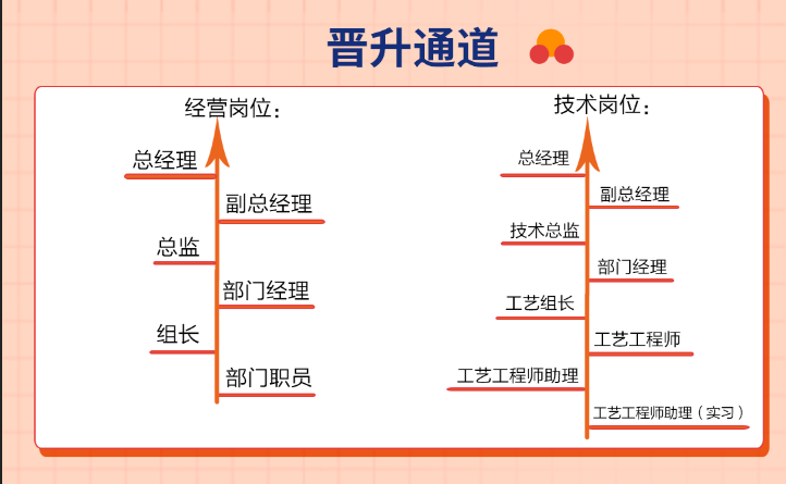 合乐hl8注重人才培养