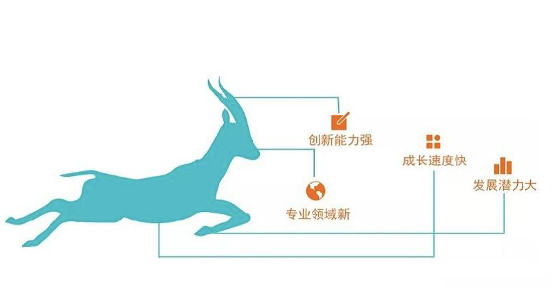 合乐hl8入选2022江苏省瞪羚企业